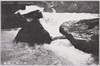 渓流の風景/Oirase Gorge image