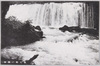渓流の風景/Oirase Gorge image