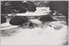 渓流の風景/Oirase Gorge image