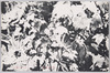 トガクシシローマ/Ranzania Japonica image