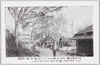 吉野関屋桜/Sekiyasakura (Old Cherry Trees) in Yoshino image