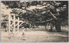 舞子公園/Maiko Park image