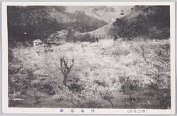 熱海勝景 / Picture Postcards of Scenic Beauties of Atami image