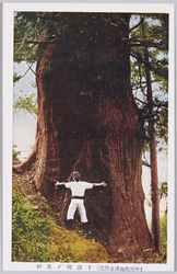 甲州西山温泉及附近の名勝絵葉書 image