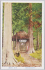 奈良王神社(甲州西山温泉及附近の名勝絵葉書)/Naraōjinja Shrine, Scenic Beauty Picture Postcards of Kōshū Nishiyama Onsen and Its Vicinity image