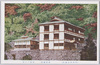 蓬莱温泉(甲州西山温泉及附近の名勝絵葉書)/Hōrai Onsen, Scenic Beauty Picture Postcards of Kōshū Nishiyama Onsen and Its Vicinity image