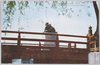 三条橋畔高山彦九郎銅像(大京都十六景絵葉書)/Bronze Statue of Takayama Hikokurō at the Foot of Sanjōhashi Bridge, Picture Postcards of Sixteen Views of Great Kyoto image