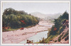 多摩清流/Tama River image