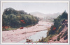 多摩清流/Tama River image