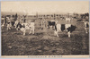 習志野牧場乳牛運動場/Area for Cows to Exercise on the Farm in Narashino image