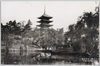 猿沢の池/Sarusawa Pond image