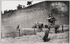 嫩草山/Mt. Wakakusa image