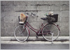 東京のキャンキャン/Two Dogs image