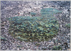 新東京 鳥型の森 / New Tokyo, "Forest in the Shape of a Bird" image