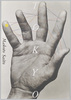 手/Hand image
