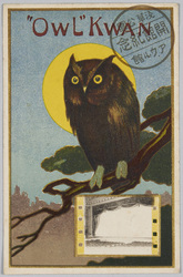 浅草公園 開館記念 アウル館 / Picture Postcards Commemorating the Opening of the Owl Pavilion in Asakusa Park image