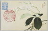 台湾博覧会記念　植物/Commemoration of Taiwan Exposition,  