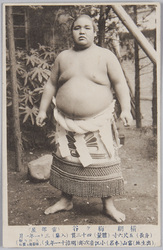 力士絵葉書 / Picture Postcards of Sumo Wrestlers image