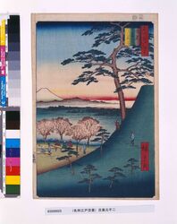 名所江戸百景 目黒元不二 / One Hundred Famous Views of Edo: The 'Old Fuji' in Meguro image
