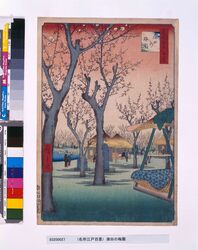 名所江戸百景 蒲田の梅園 / One Hundred Famous Views of Edo: Ume (Japanese apricot) Garden at Kamata image