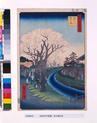 名所江戸百景　玉川堤の花 / One Hundred Famous Views of Edo: Cherry Blossom on the Banks of the Tamagawa River image