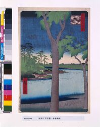 名所江戸百景 赤坂桐畑 / One Hundred Famous Views of Edo: The Paulownia Plantation, Akasaka image