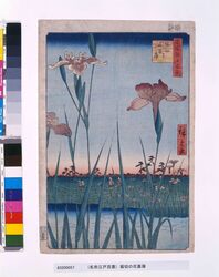 名所江戸百景　堀切の花菖蒲 / One Hundred Famous Views of Edo: Iris Garden at Horikiri image