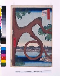 名所江戸百景 上野の山内月のまつ / One Hundred Famous Views of Edo: The Moon Pine in the Temple Precincts at Ueno image