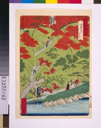 東京名所四十八景 海案寺の紅葉 / Forty-Eight Famous Views of Tokyo: Maple Trees at Kaian-ji Temple image