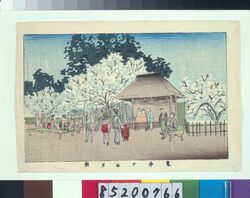 東京真画名所図解 亀井戸梅屋敷 / True Pictures of Famous Places in Tokyo: Ume (Japanese apricot) Garden at Kameido image