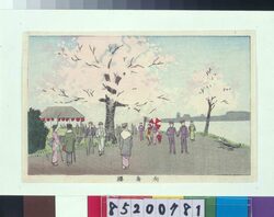 東京真画名所図解 向島桜 / True Pictures of Famous Places in Tokyo: Cherry Blossom at Mukojima image
