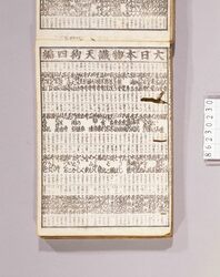 見立番付 大日本物識天狗 四編 / Mitate Banzuke (Parody Ranking List), Dai Nihon Monoshiri Tengu, Part 4 image