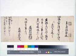 大坂商人大根屋文書 薩州様御渡御通 / Document image