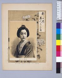 都の花美人くらべ 新橋山登 / Flowers and Beauties of the Capital : Shimbashi Yamato image