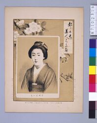 都の花美人くらべ 　新橋あづま / Flowers and Beauties of the Capital : Shimbashi Azuma image