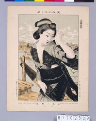 美人十二ケ月 両国の納涼 七月 / Beauties of Twelve Months : Enjoying the Cool of the Summer Evening at Ryogoku, July image