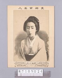 東都百美人 新橋小辰 image