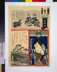 江戸の花名勝会 角田 番外 / The Flowers of Edo with Pictures of Famous Sights : Others, Tsunoda image