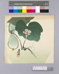 榛原聚玉堂版団扇絵 へちま image