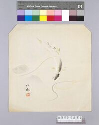 榛原聚玉堂版団扇絵 鮎 / Picture on Round Fan by Haibara Shūgyokudō: Sweet fish image
