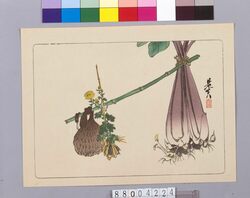山芋図 / Japanese Yam image