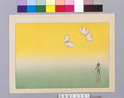 蝶々の図 / Butterfly image
