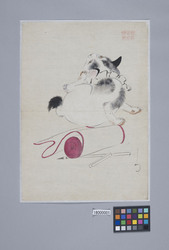 猫と筆紙 image