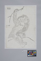祖仙写　猿 image