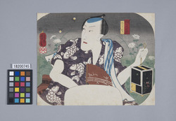 団扇絵 当国三ツの狩 ほたるかり / Firefly Catching from the Three Hunts in This Country (Fan Print) image