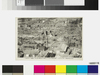 （関東大震災絵葉書）大震火後の横須賀全市 / (Great Kantō Earthquake Picture Postcard) The Entire City of Yokosuka after the Great Earthquake Fire image