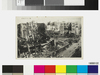 （関東大震災絵葉書）通二丁目丸善 / (Great Kantō Earthquake Picture Postcard) Maruzen Co., Ltd. in Tōri 2 chōme image