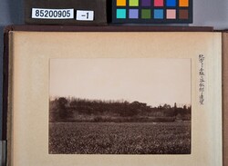 明治期写真コレクション東京近郊 第15号 / Collection of Photographs from the Meiji Era, Suburban Tokyo, No. 15 image