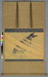 鯉図 / Carp image