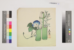 榛原聚玉堂版団扇絵 投入の朝顔 / Picture on Round Fan by Haibara Shūgyokudō: Morning Glory image
